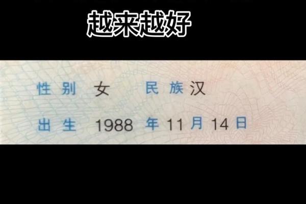 想知道1988年属龙的人在今年2024年的实际年龄怎么计算？
