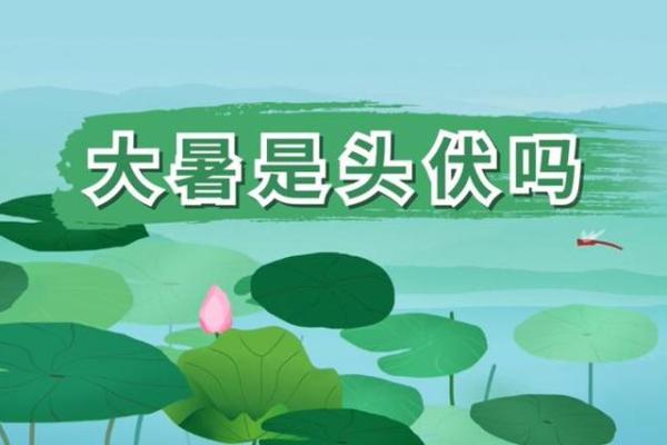 2020年头伏第一天是几月几号怎么推算？