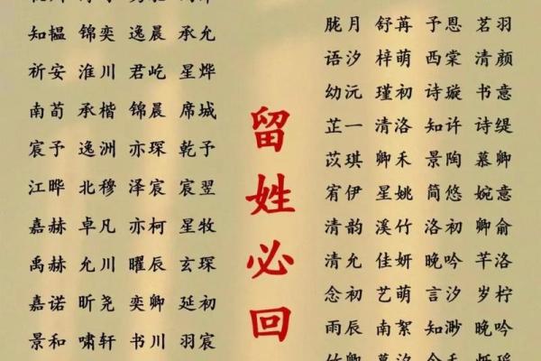 2013年最新流行的女孩小名推荐及寓意解析，新手必学