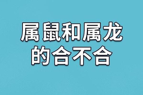 属龙的和什么属相最配婚姻，属猴和属鼠是否上等婚配？