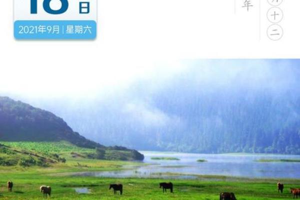 2021年入九具体从哪一天开始计算？