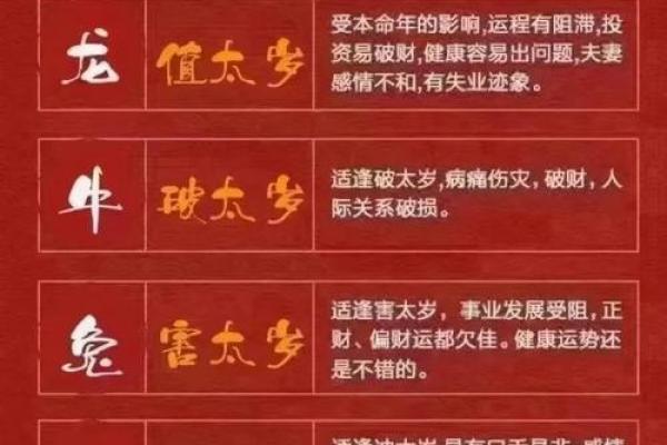 生肖属龙今年多大岁数了，2023年虚岁和周岁的准确计算方法