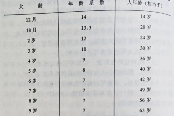 2025年属狗的人虚岁和周岁分别是多少应该如何正确计算