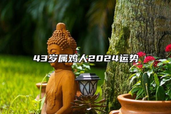1981年属鸡人2024年运势详解：财运、事业与健康全年运程预测