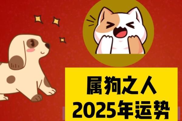 2025年属狗的人穿什么颜色衣服最能招财旺运？