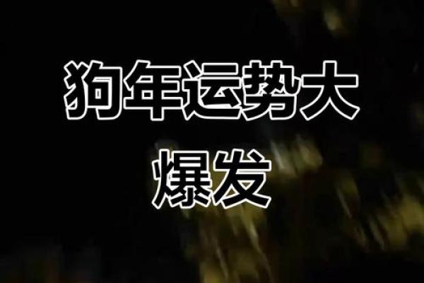 1970年属狗人在2025年三大喜事是什么，健康方面有惊喜吗？