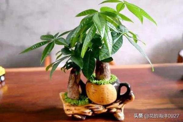 11月份装修选哪天最吉利？着三个日子风水好又旺财运