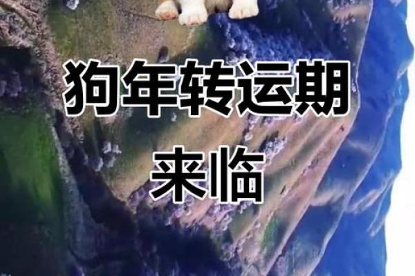 70年属狗的人2025年运势如何，会有哪三件大喜事降临？