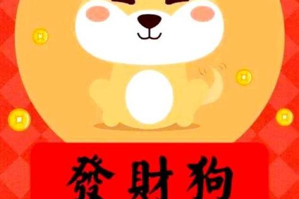 2025年属狗女每月运程预测，如何化解太岁影响提升好运