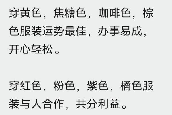 2005年属鸡女孩2024年学业运势如何看未来发展