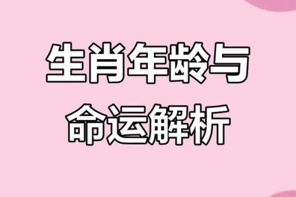 1958年出生的属狗人平均寿命和健康运势解析