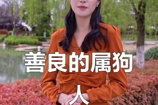 1958年出生的属狗人平均寿命和健康运势解析