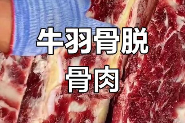 骨肉私情”代表什么生肖 骨肉私情指什么动物生肖