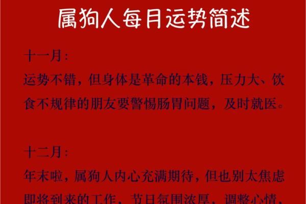 2006年属狗的人最适合在多少岁结婚才能幸福美满