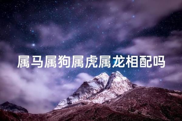 属狗男和属马女的婚姻配对指数高吗？性格合不合