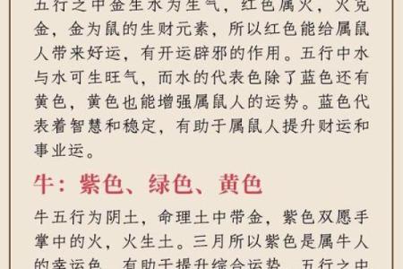 2025年属狗人的幸运颜色是什么，穿什么颜色衣服能带来好运？
