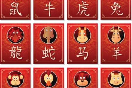2001年属蛇的人今年虚岁和周岁怎么算？最新年龄对照表