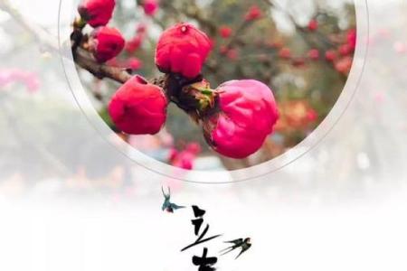 2020年立春的准确时辰是什么时候，是白天还是晚上？
