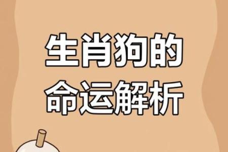 1970年属狗人2023年每月运势详解及得把眼睛擦亮了