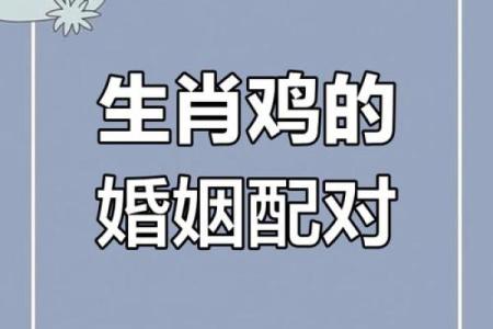 属牛和属鸡的姻缘配对指数高吗？性格合不合？