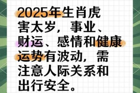 2010年出生的属虎孩子今年应该几岁了怎么算虚岁
