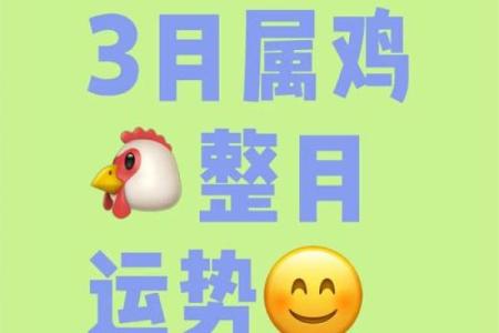 1993年出生的鸡2025年每月运势如何？需要注意什么？