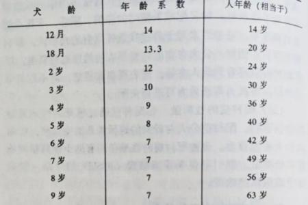 2025年属狗的今年几岁了？虚岁和周岁的计算方法与区别