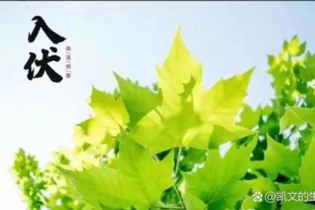 2020年头伏第一天是几月几号怎么推算？