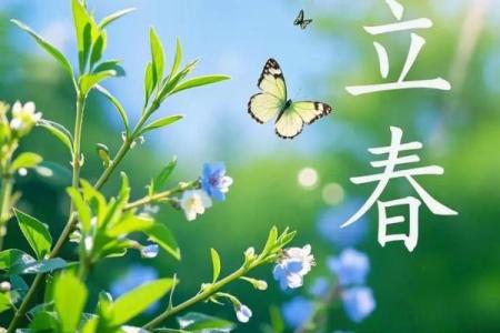 2014年立春的准确时间是什么时候，需要精确到秒吗？