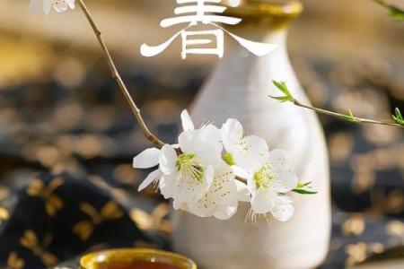 2024年打春具体时辰是几点？立春当天有哪些宜忌和习俗？
