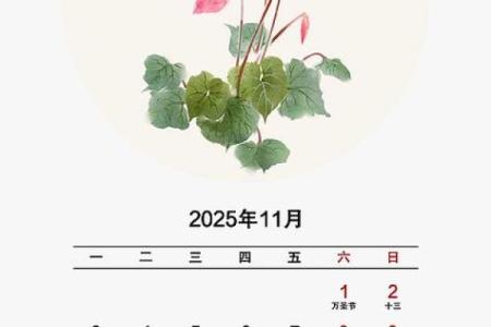 2025年11月2日是结婚吉日吗(2025年11月份日历)