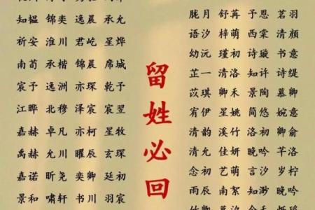 2013年最新流行的女孩小名推荐及寓意解析，新手必学