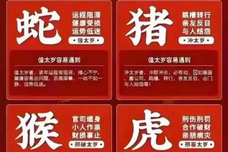 2025年属龙的人犯太岁需要注意哪些具体事项和禁忌