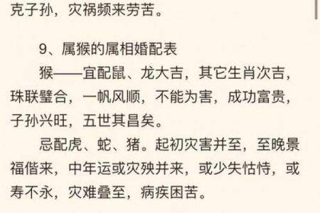 属龙的和什么属相最配婚姻，属猴和属鼠是否上等婚配？