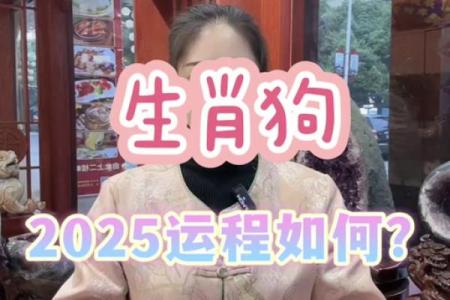 1970年属狗的人2025年全年运势详解及每月运程完整版
