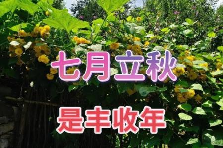 2019年立秋节气准确时间查询，几点几分正式进入秋天？