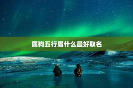 2018年出生的属狗人五行属什么命？木狗之命的性格与运势解析