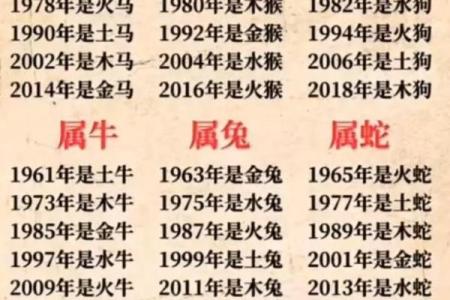 麦玲玲详解2022虎年十二生肖运势，哪个属相财运最旺事业最佳？