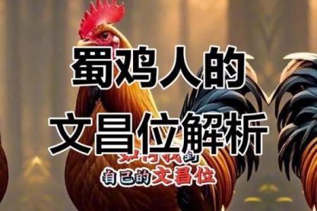 2005年属鸡的人2024年学业运势如何，需要注意什么