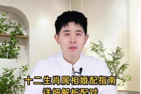 属鸡男和什么属相结婚最合适？婚配宜忌详解