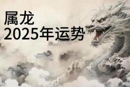 1976年属龙人2025年运势详解：事业财运健康感情全面解析与建议