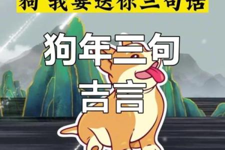 属狗的人今天财运怎么样有没有好的投资机会