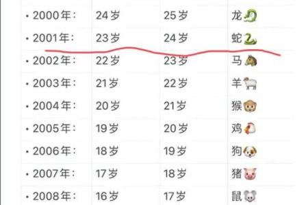 2001年出生的人现在虚岁应该怎么计算具体年龄？