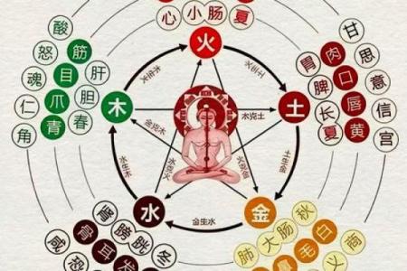 阴阳二分打一生肖 阴阳二分法对应生肖查询
