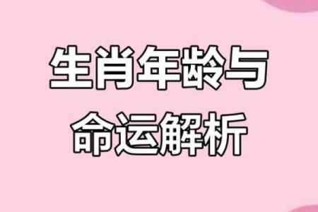 1958年出生的属狗人平均寿命和健康运势解析