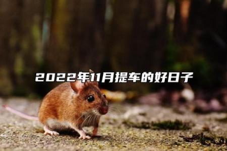9月份提车选哪天最吉利？老黄历推荐的提车好日子一览