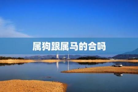 属狗男和属马女的婚姻配对指数高吗？性格合不合