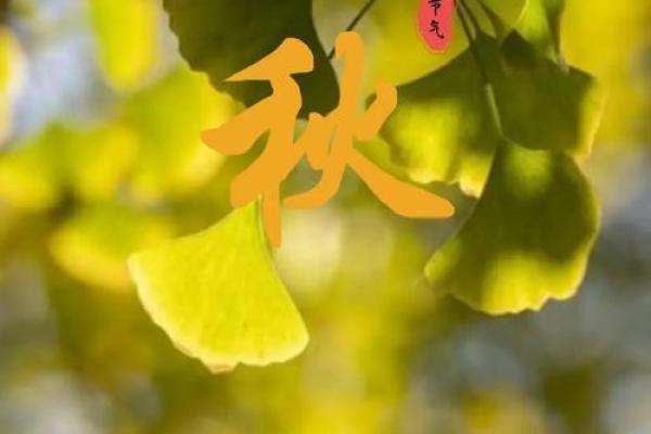 2022年立秋节气是早上还是晚上？当天有什么传统习俗？