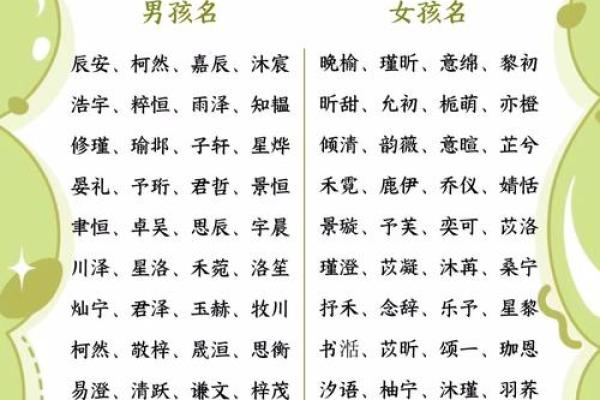 2017年最新女孩名字大全，包含诗经楚辞典故