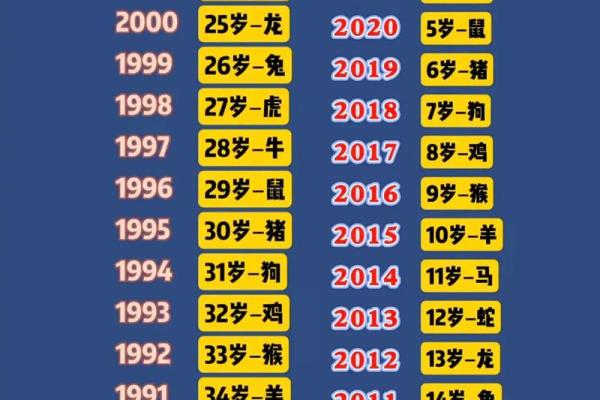 2007年出生现在几岁？快速计算年龄并附实际案例说明